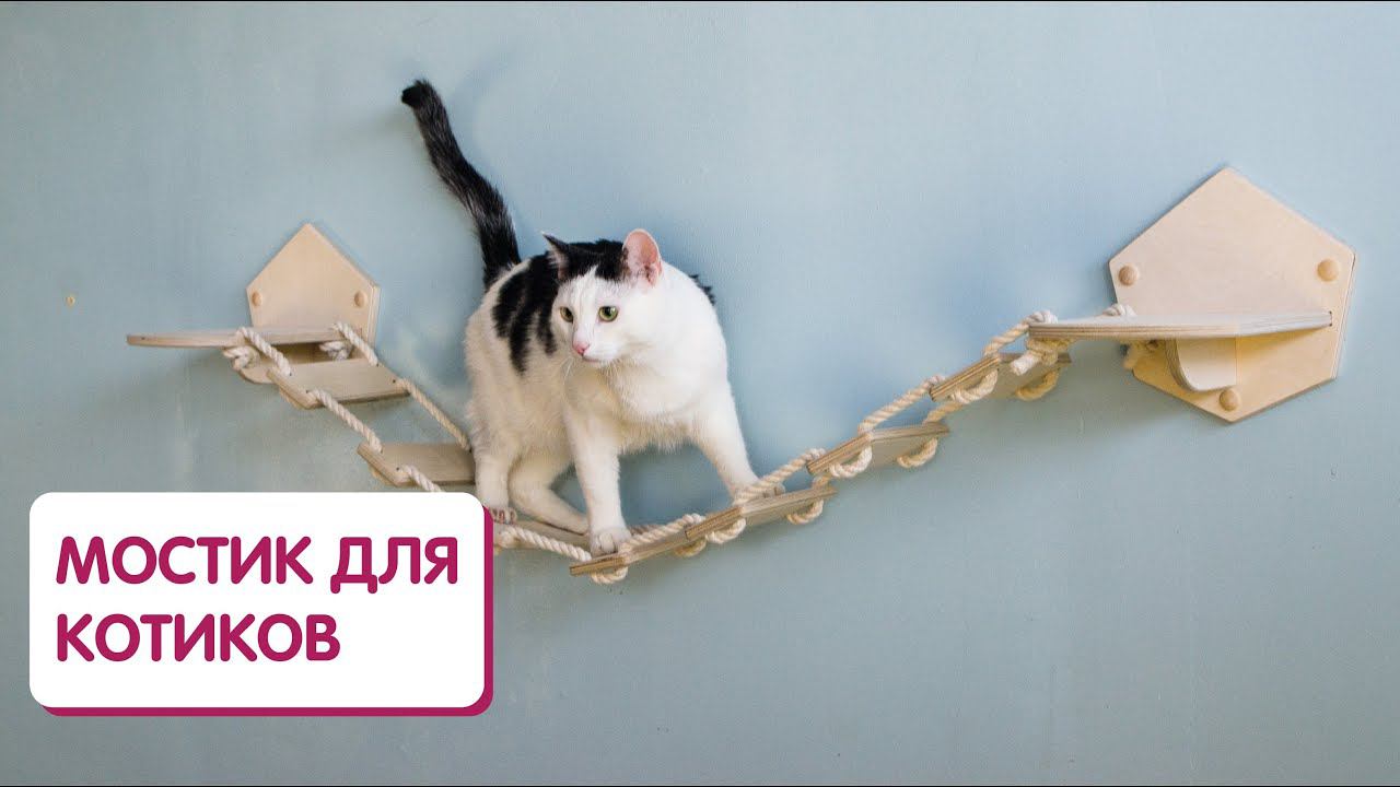 Мостик для кошки | Игровой комплекс для питомца смотреть онлайн