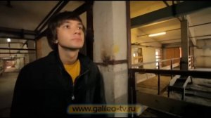 Галилео. Найди себе работу. Кочегар и страусиная няня
