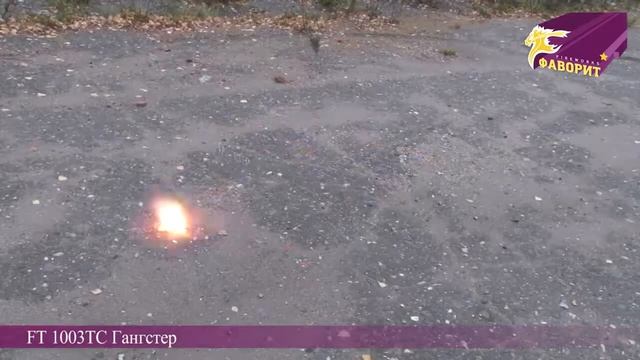 Петарда "Гангстер" FT1003TS смотреть онлайн