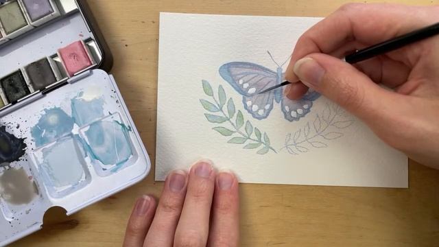 How To Paint A Butterfly Botanical Illustration In Watercolor | Watercolor Painting For Beginners