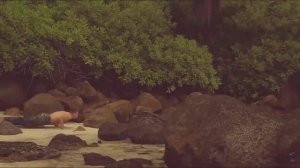 Галилео. Выжить на Сейшелах