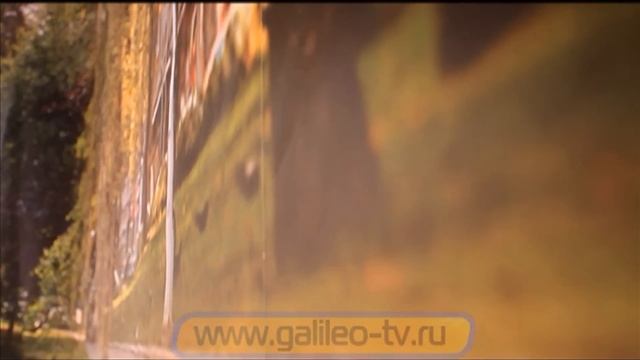 Галилео. Кинодекорация (часть 2) смотреть онлайн