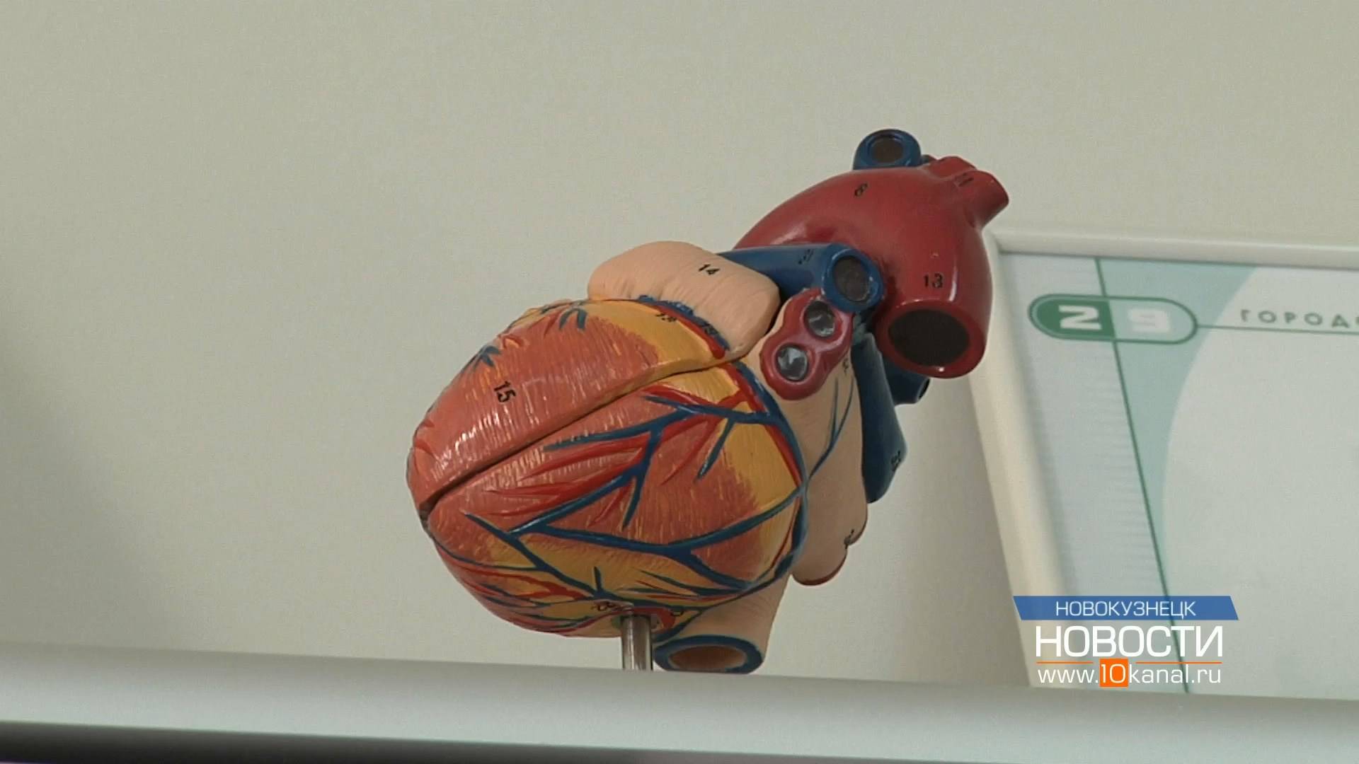 29 сентября отмечается Всемирный день сердца смотреть онлайн
