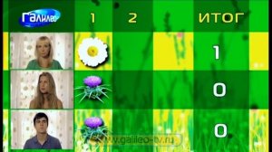 Галилео. Умные блондинки. Без кровати