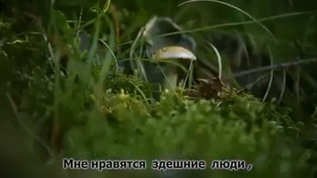 Гузель Санжапова и волонтеры восстанавливают деревню Малый Турыш смотреть онлайн
