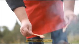 Галилео. Способы 10. Найти еду в лесу