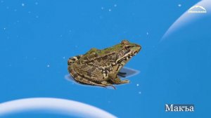 Баппахан — Сезле, 2 бёлюм (Слова, часть 2) | Bappahan — Words for kids, part 2