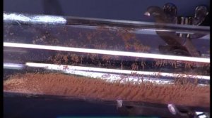 Галилео. Эксперимент. Стоячая волна