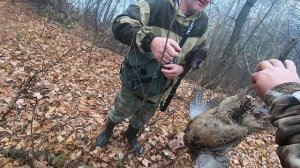 волгоградская обл,