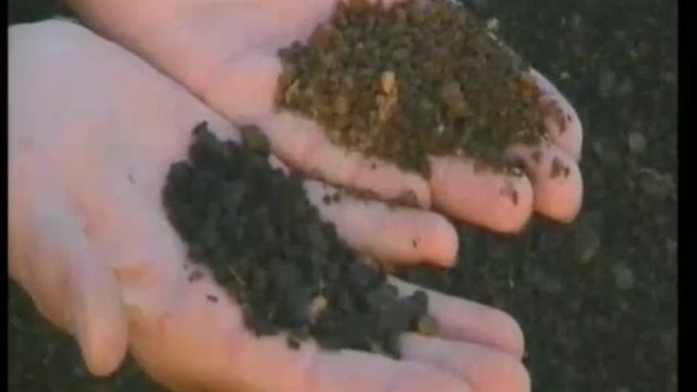 ОБРАЗОВАНИЕ ПОЧВЫ ЯВЛЯЕТСЯ ЧУДОМ ГОСПОДНЕГО ТВОРЕНИЯ смотреть онлайн