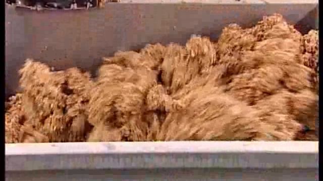 Галилео. Пельмени  Meat Dumplings