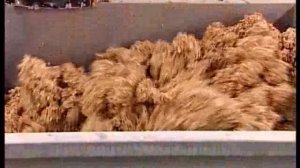 Галилео. Пельмени  Meat Dumplings