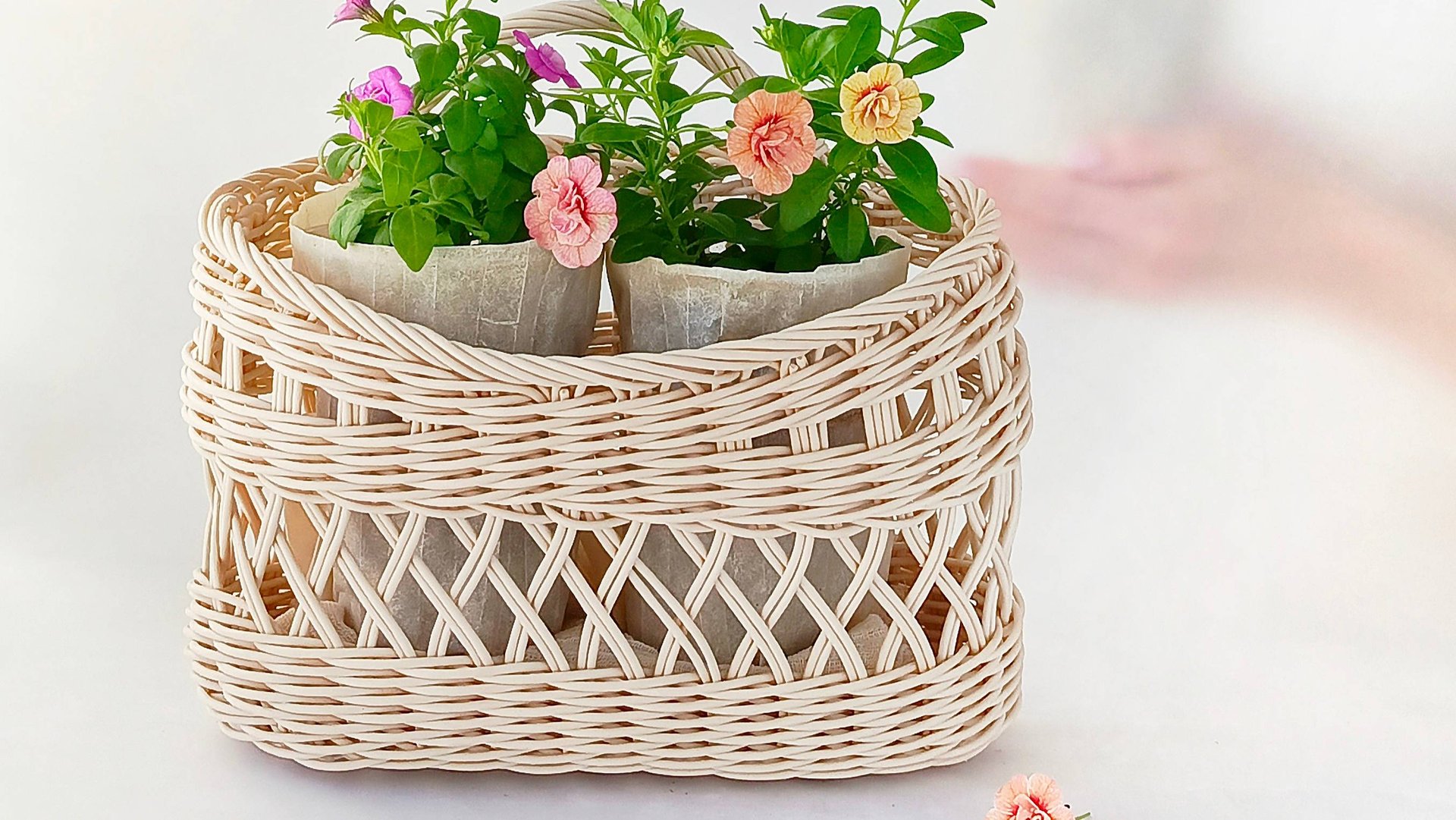 промо ролик:  дорбаскет Светлый