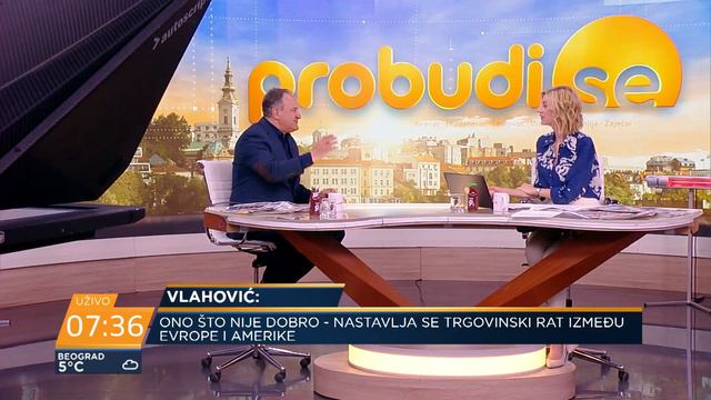 Aleksandar Vlahović: Javna preduzeća su partijski plen смотреть онлайн