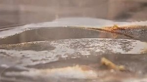 Галилео  Куда убегает молоко?