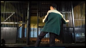 Галилео. Зоопарк (часть 1)