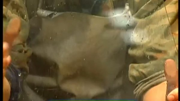 Галилео. Бронестёкла Bulletproof glass