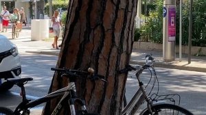 Италия: утро, стрит стайл воскресного дня