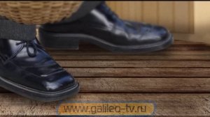 Галилео. Истории изобретений. Продуктовая тележка