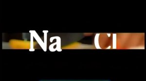 Галилео. Соленая рыба