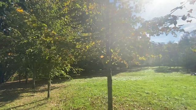 30-09-2024 Музей Валентина Александровича Серова 