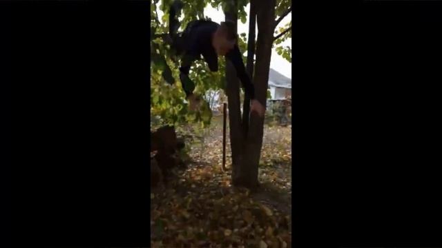 ШКОЛЬНИК УПАЛ С ДЕРЕВА И СЛОМАЛ РУКУ(НЕ КЛИКБЕЙТ) смотреть онлайн