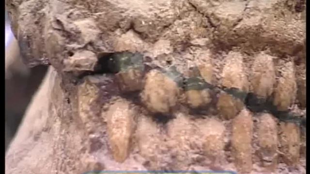 Галилео. Скелеты ☠ Skeleton