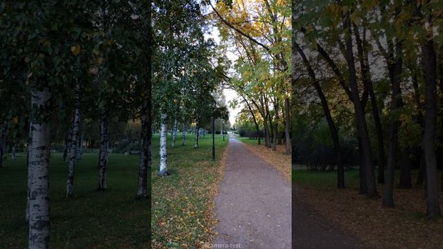 (YT) Xiaomi Mi 8 Lite