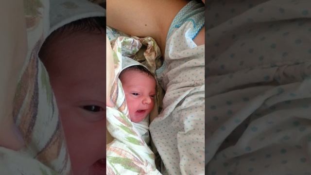 Обзор родильной палаты смотреть онлайн