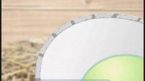 Галилео. Яичница