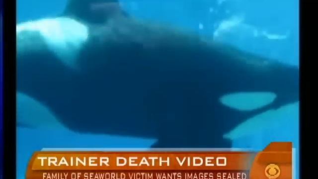 Family Wants Death Video Sealed смотреть онлайн