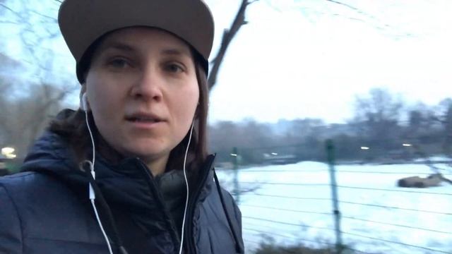 Правда о Китае. Исповедь. Стоит ли ехать в Китай? Жизнь в Китае.