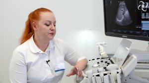 Эластография печени. Диагностика фиброза печени.