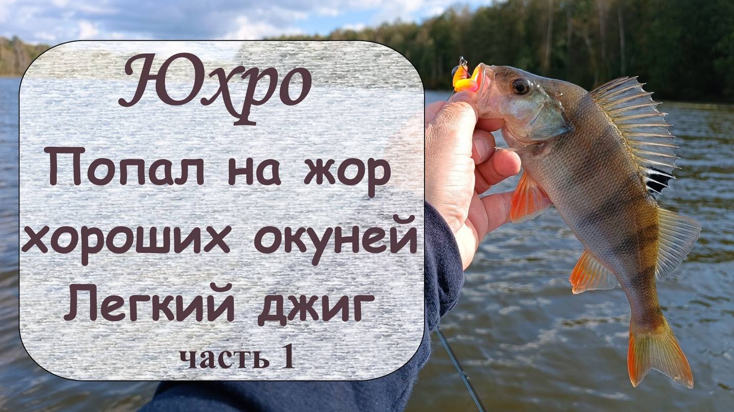 Юхро. Попал на жор хороших окуней. Часть 1 смотреть онлайн