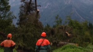 Галилео | Экстремальный лесоповал