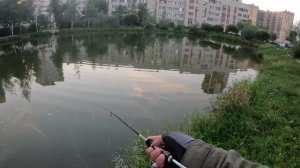 Спиннинг для мормышинга MIFINE Illusion Slash. КАРАСИ, как из Пулемёта! #мормышинг #стритфишинг