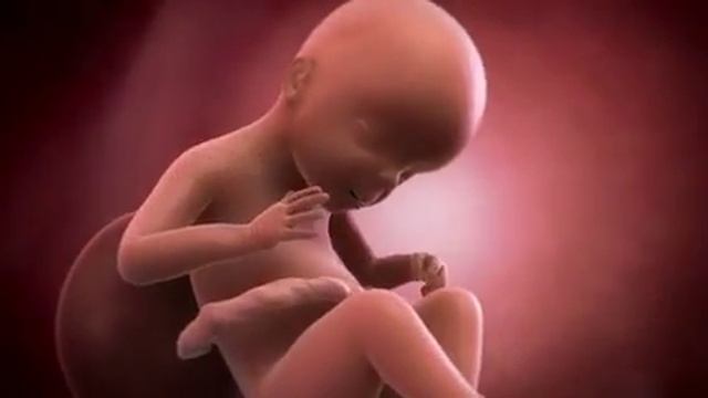 Your baby at 23 weeks | Week-by-week pregnancy | MadeForMums смотреть онлайн