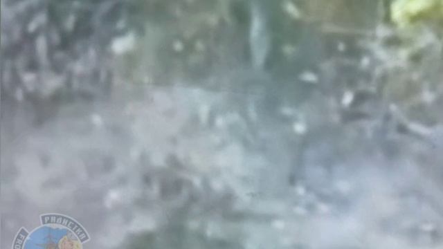 ⚡️СВО 18+ Боевик ВСУ с мечом ликвидирован в Курской области смотреть онлайн