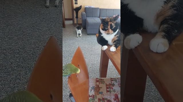 Единственный чувствует смотреть онлайн