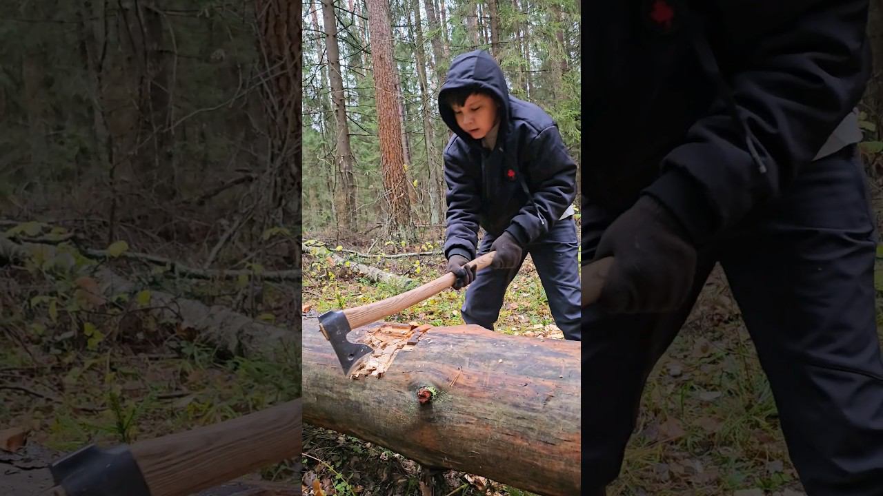 Мнение неискушенного человека о топоре Лунь. смотреть онлайн