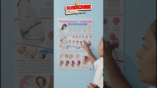 Part1/Pregnancy period/Symptoms of early pregnancy/ प्रेगनेंसी में क्या क्या बदलाव आते है/ смотреть онлайн