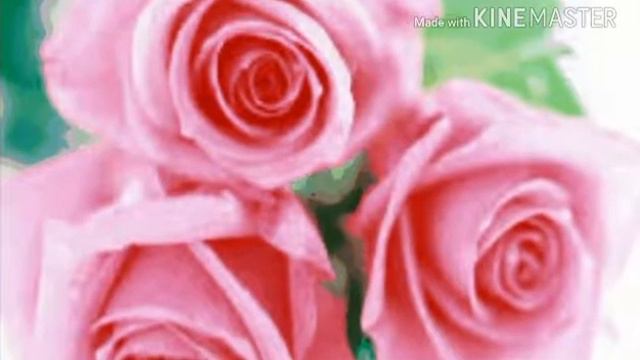 Пони клип Ее прозвали куклой.