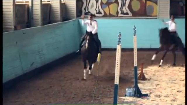 Галилео. Полицейские лошади (часть 2) смотреть онлайн