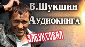 Василий Шукшин. Забуксовал.  Аудиокнига  рассказы  литература