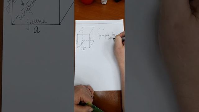 Квадрат, прямоугольник, параллелепипед смотреть онлайн