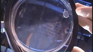 Галилео. Эксперимент. Живая ртуть