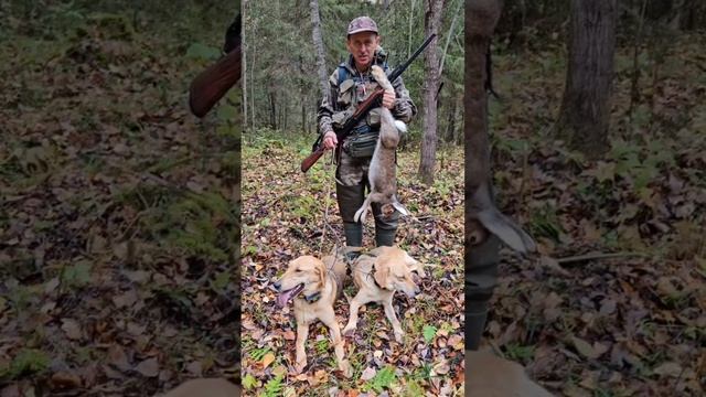 Охота на зайца в Кировской области! смотреть онлайн