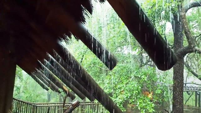 Madikwe Game Reserve Vlog 02 - FARTING ZEBRA's смотреть онлайн