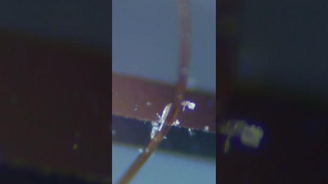 А какой ваш идеал остроты? смотреть онлайн