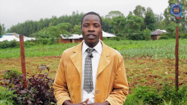 . Derrick Ochollah . Fall 2015 | Kenya # 8 . смотреть онлайн